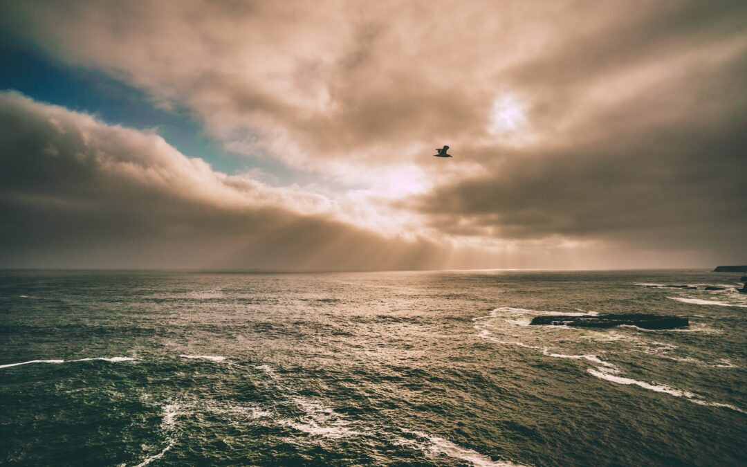 Wer wären wir ohne unsere Selbstzweifel